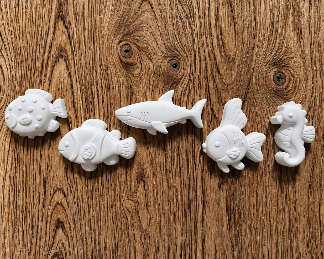 Sea Creature DIY Paint Magnet Kit
