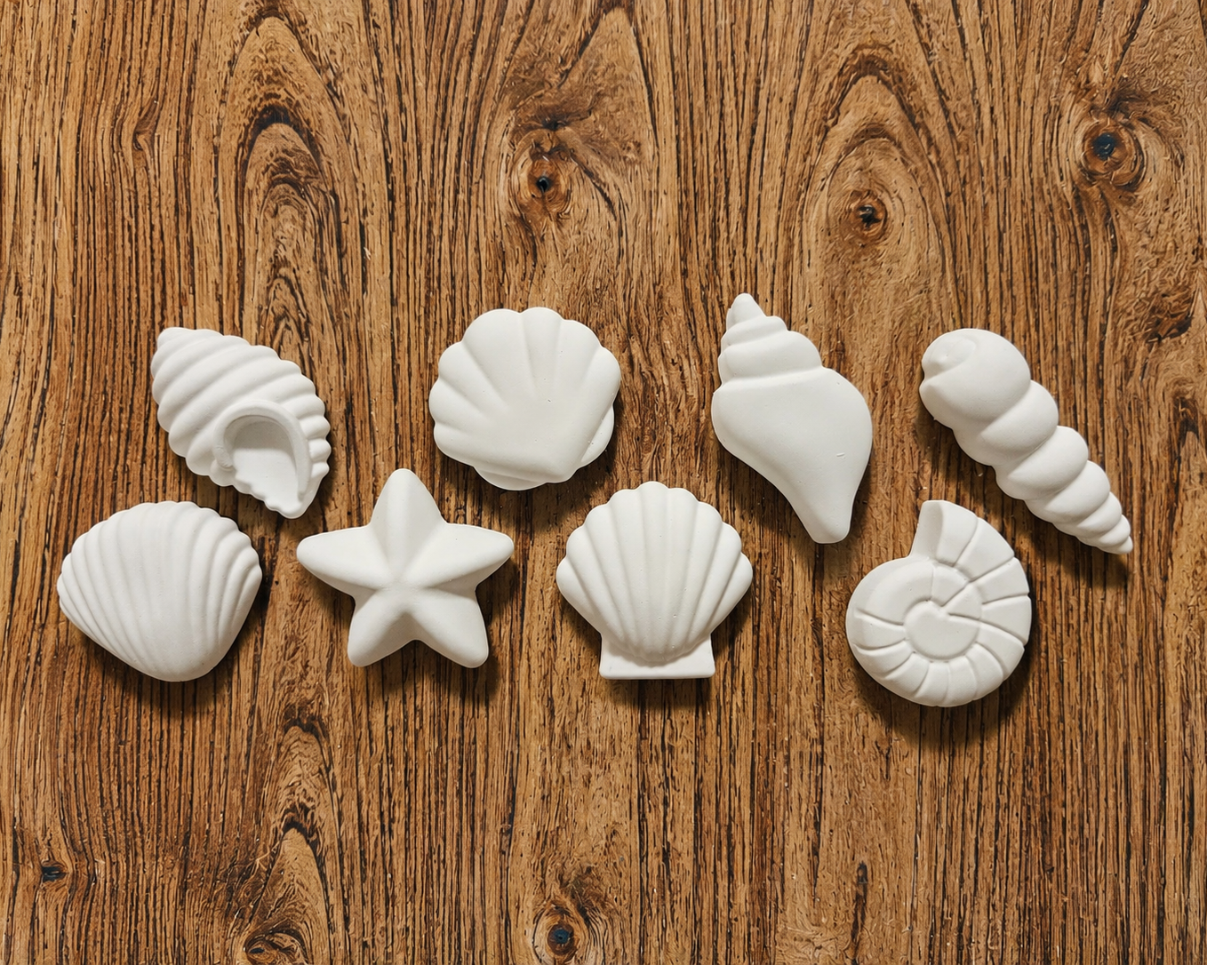 Sea Shell DIY Paint Magnet Kit
