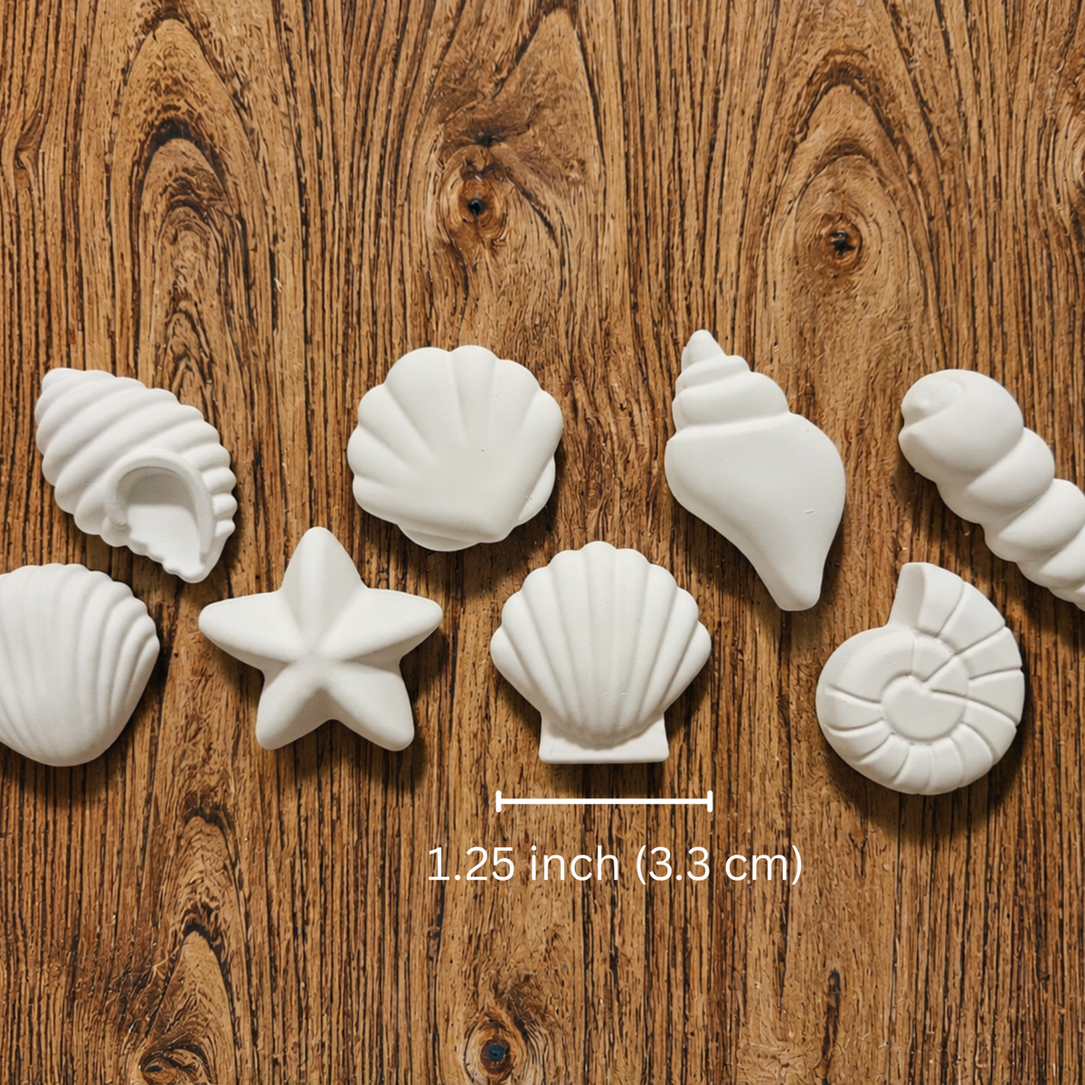 Sea Shell DIY Paint Magnet Kit